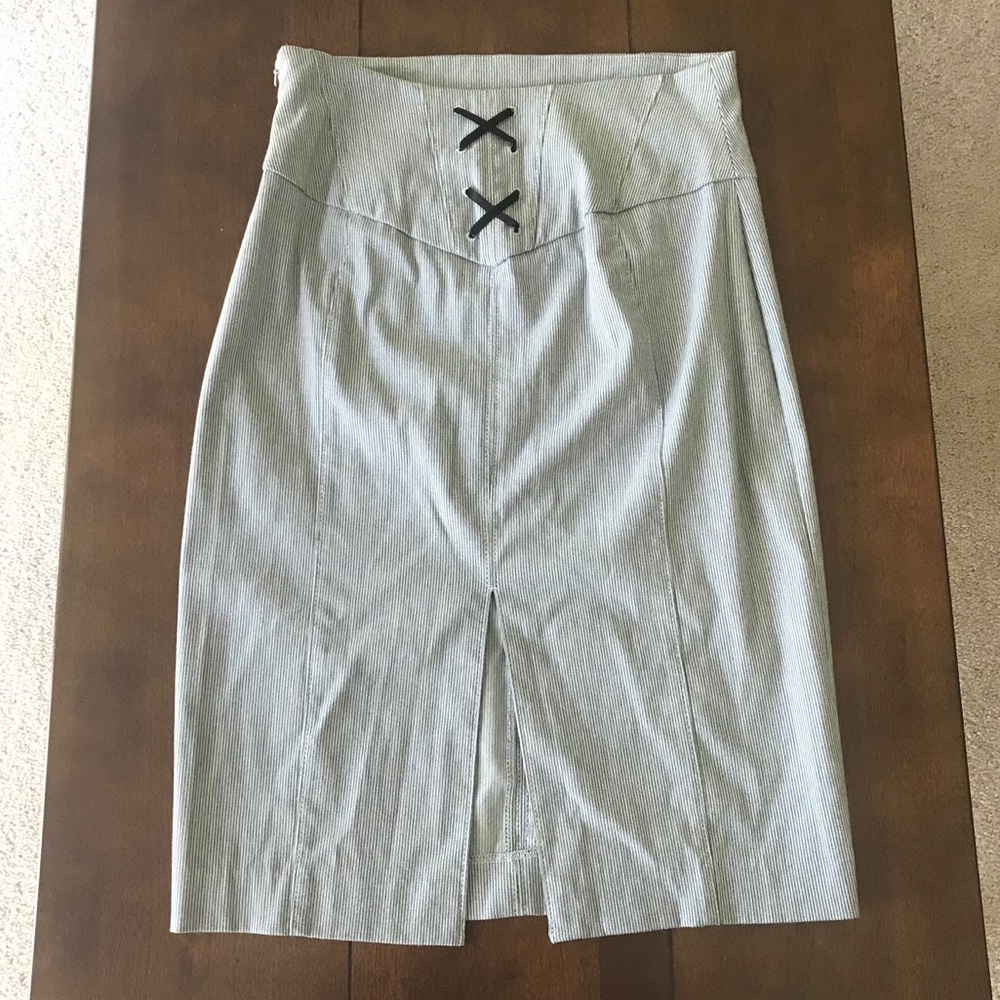 Express Pencil Skirt